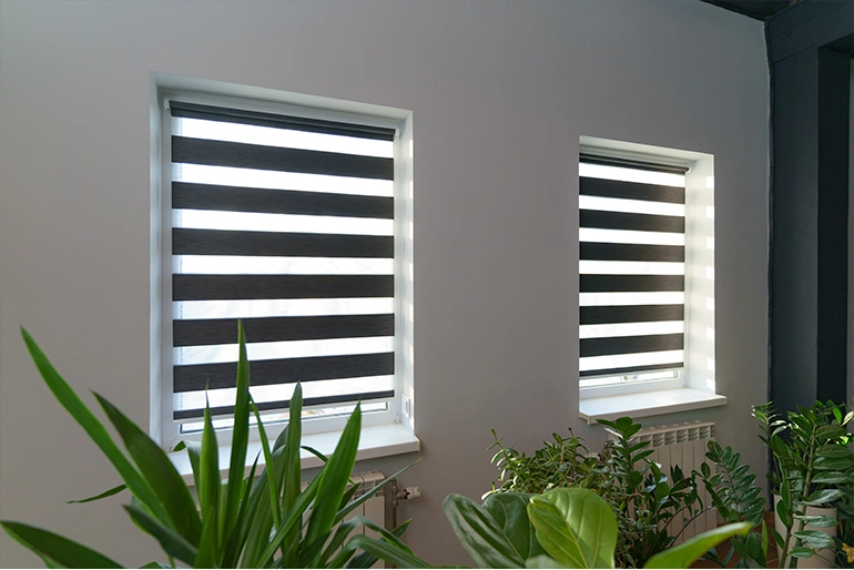 Ролети День-Ніч