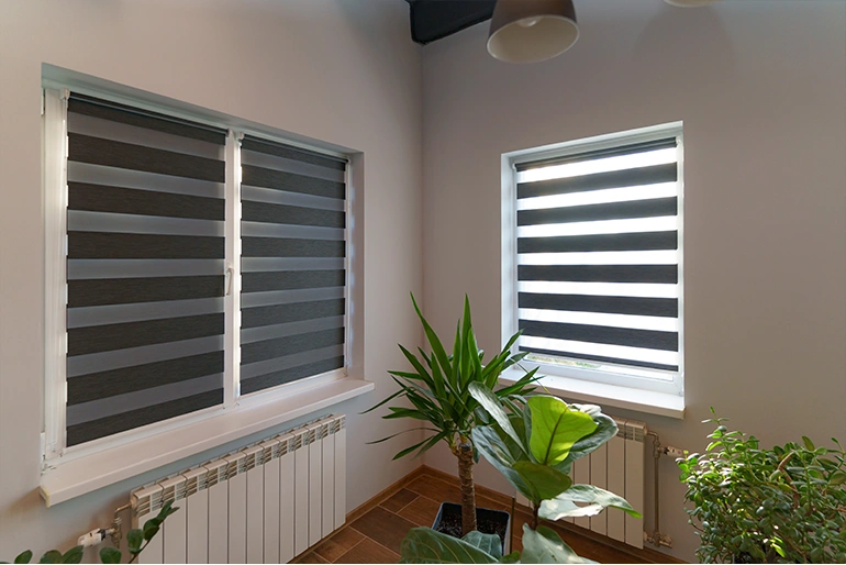 Ролети День-Ніч