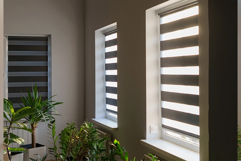 Ролети День-Ніч