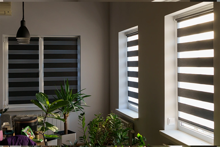 Ролети День-Ніч