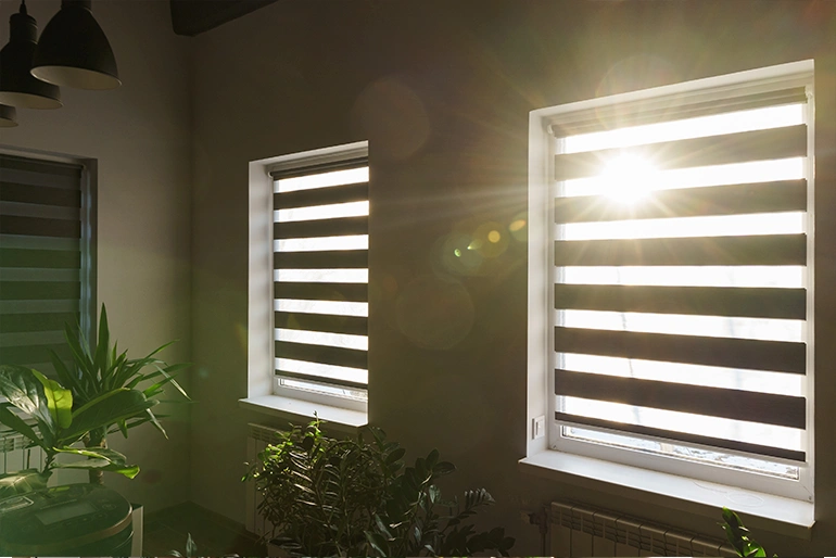 Ролети День-Ніч