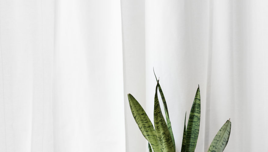 ЖАЛЮЗІ, ШТОРИ, РОЛЕТИ <br> під онлайн замовлення